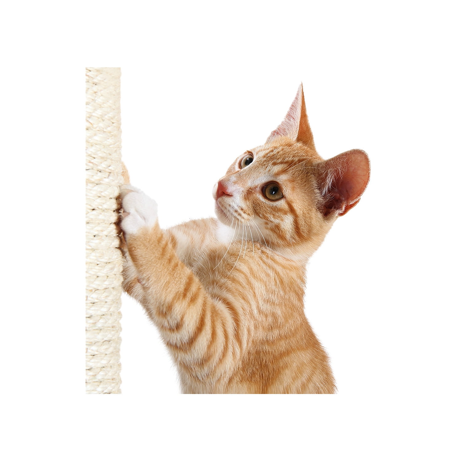 TRIXIE Palamos Plush & Sisal 4-Level 43" Cat Tree with Scratching Posts & Condo, Beige