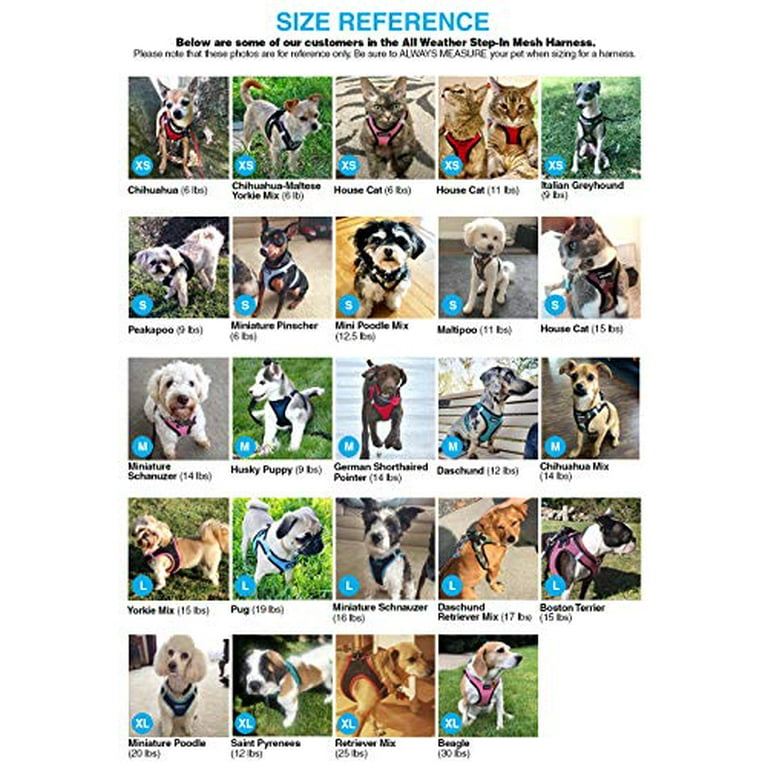 Voyager harness cheap size chart