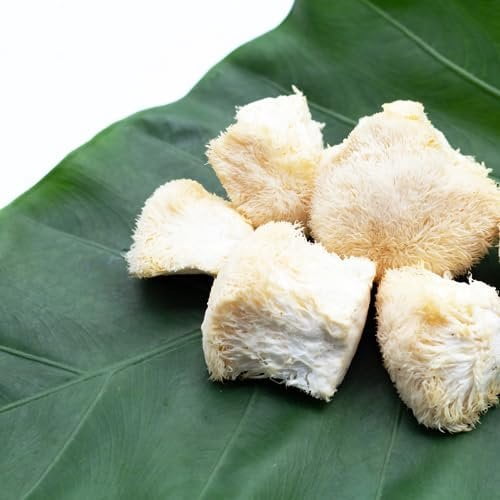 Jovvily Lion's Mane Mushroom Extract, 1 lb, Hericium Erinaceus Extract, Herbal Supplement, Always Pure