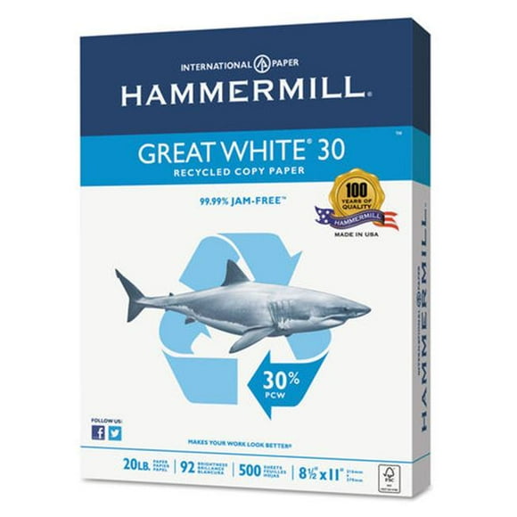 Hammermill 86710 20 lbs Great White 30 Recycled Print Paper, White
