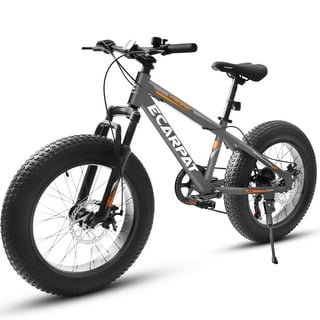Fat Tire Bike