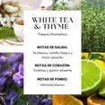 thumbnail image 2 of Esencia ambiental para difusor profesional Lumara White Tea - Inspirado en el Hotel Ritz 250ml, 2 of 5