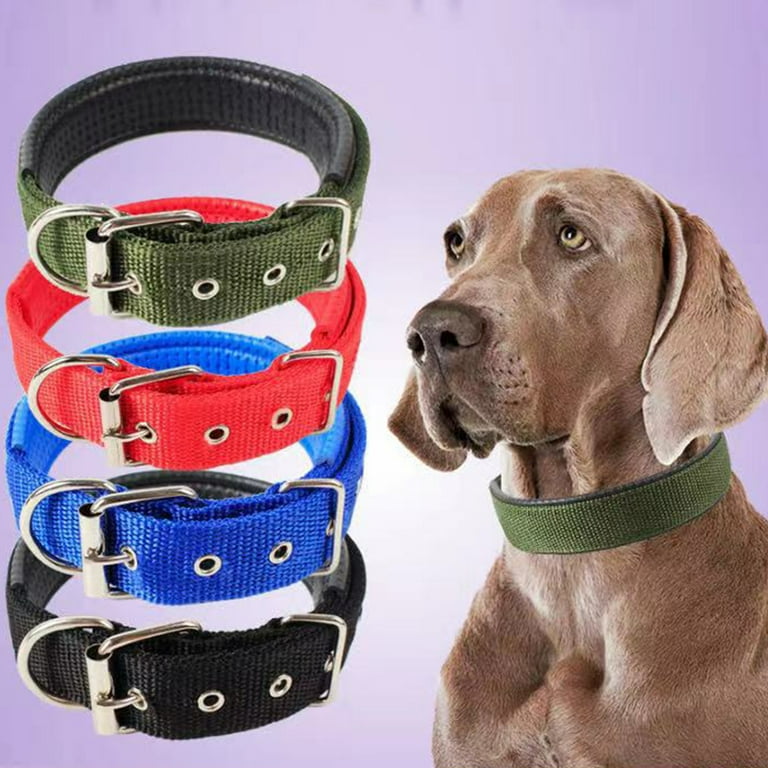Heavy Duty Dog Collar with Handle for Medium and Large Dogs Collar with Reflective Stitches