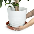 thumbnail image 3 of Austin Planter AS7TC5n 7 in. Plant Saucer Colored, Terra Cotta - Polypropylene - 5.5 in. Base - Pack of 10, 3 of 6