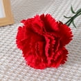 thumbnail image 4 of LShunze Artificial Red Carnations Flowers 1Pcs Silk Cartions Red Flowers with Long Stem for Tall Vase Wedding Bouquets Home Table Centerpieces Floral Arrangements, 4 of 8