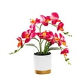 thumbnail image 3 of TISHITA Artificial Flower Faux Phalaenopsis Orchid Durable Ornament Decoration Centerpieces Potted Plants Bonsai for New Year Office Amaranth, 3 of 8
