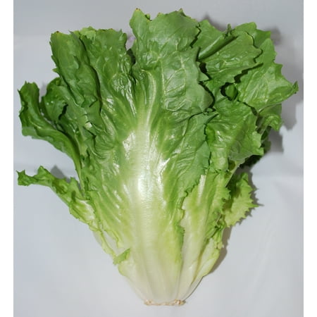 Fresh Escarole Lettuce, 1 Each