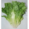 Escarole Lettuce, 1 Each
