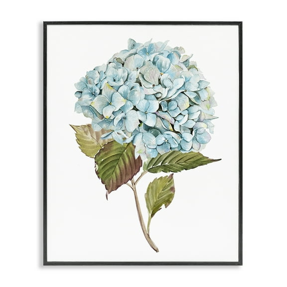 Stupell Industries Simple Hydrangea Bud Botanical & Floral Painting Black Framed Art Print Wall Art, 11 x 14