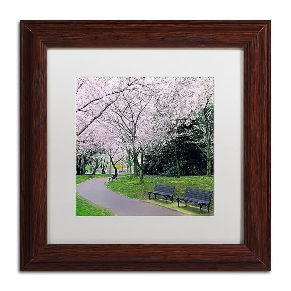 Trademark Fine Art "Spring Path" Canvas Art by CATeyes, White Matte, Wood Frame