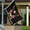 250TH Anniversary 6, variant on Clearance! 250th Anniversary Flag 3x5 Feet, USA Patriotic Flag for Outdoor and Indoor Display, Commemorating 1776-2026 Milestone, Perfect for Porch, Balcony, and Front Door Decoration