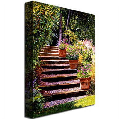 Trademark Art "Pink Faisies Wooden Steps" Canvas Wall Art by David Lloyd Glover