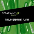 thumbnail image 2 of 5 Gum Sugarfree Gum, Spearmint Rain, 35-stick pack (6 packs total) 35 Count, 2 of 3