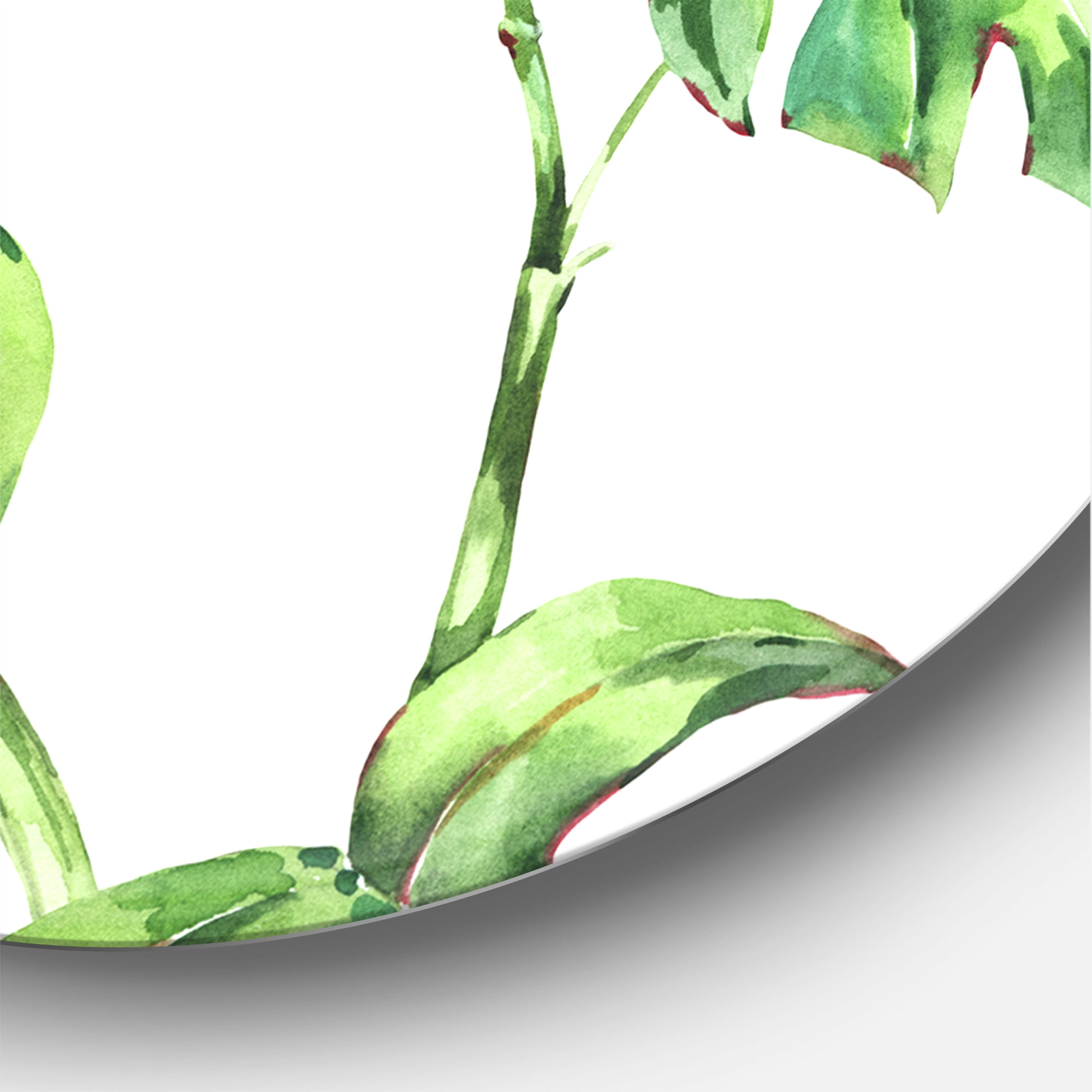 Designart 'Ancient Floral Tropical Leaves II' Tropical Circle Metal Wall Art 23x23 - Disc of 23
