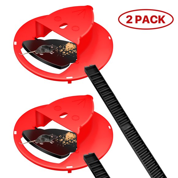 Bucket Lid Mouse Trap
