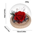 thumbnail image 3 of Preserved Real Flower Glass Dome Eternal Carnation Rose Display For Home Tabletop Decor Gift, 3 of 7