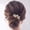 2 Gold, variant on Wedding Hair Accessories Bridal Clip Decorative Hair Pins | Bridesmaid Rose Updo for Women