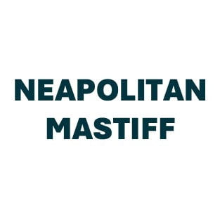 Neapolitan Mastiff Pill Butter