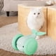 thumbnail image 1 of Juguetes de gato para gatos interiores, vehículo interactivo de juguete para mascotas automóvil automático de ballenas para gatos interiores Ejercicio Verde, 1 of 8