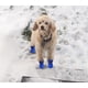 thumbnail image 3 of Botas para perros, protectores de patas, zapatos antideslizantes para perros. Estas cómodas botas para perros con suelas suaves cuentan con correas reflectantes (5, azul)., 3 of 5