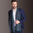 thumbnail image 2 of Bufanda de Cachemira de negocios europea para hombre, bufanda larga de peso ligero, suave, a cuadros acrílicos, chal de invierno, estilo nuevo Fivean unisex, 2 of 2