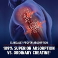 thumbnail image 3 of Suplemento GNC AMP HCl 189 Creatina 240 tabletas, 3 of 8