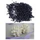 thumbnail image 5 of 1800 piezas de 3 mm Mini flores con efecto perla Estambres Pistilo Doble Cabeza Boda DIY Negro, 5 of 9