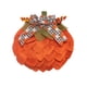 thumbnail image 1 of Toystoory Casa de campo con bayas, calabaza de otoño, decoración de Acción de Gracias, de utilería, vestido de fiesta, vestido de Halloween Kits de decoración para fiestas tipo+1, 1 of 6