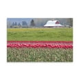 thumbnail image 2 of Gango Home Decor Red Tulip Barn by Dana Styber (Printed on Paper); One 36x24in Fine Art Paper Giclee Print, 2 of 4