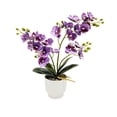 thumbnail image 2 of Artificial Orchid Potted Plants | Realistic Fake Silk Orchid Bonsai Tree | Home Office Desk Dining Table Decor | Ceramic Pot Included | Low Maintenance Indoor Decoration, 2 of 6
