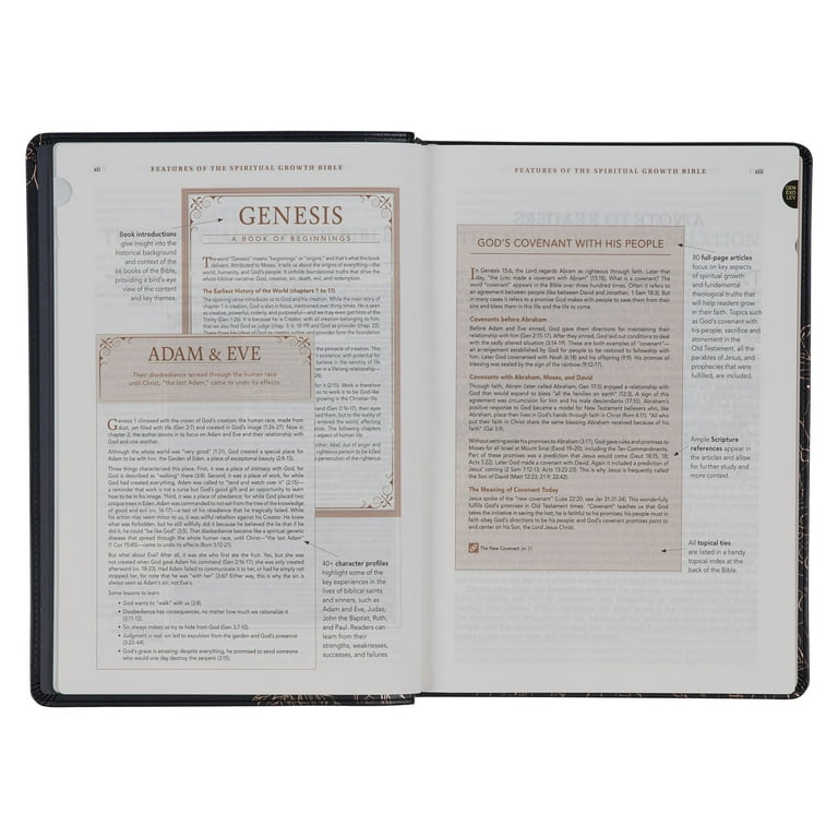 The Spiritual Growth Bible, Study Bible, NLT - New Living