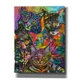 thumbnail image 1 of Epic Graffiti 'Bed Cats' by Dean Russo, Canvas Wall Art, 26"x34", 1 of 8