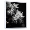 thumbnail image 2 of Designart "Monochromatic Coral Secrets" Coastal Coral Under Water Floater Framed Canvas Wall Art, 2 of 5