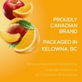 thumbnail image 2 of SunRype Apple Orange Peach Juice 900ML, 2 of 8