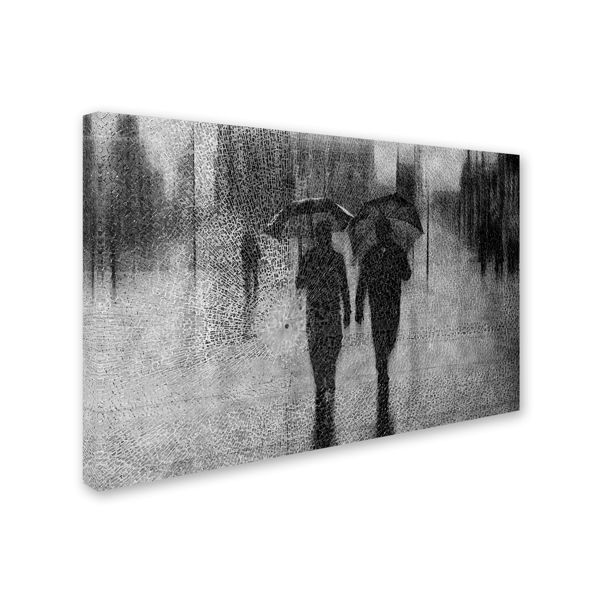 Trademark Fine Art 'May The Odds' Canvas Art by Roswitha Schleicher Schwarz