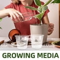 thumbnail image 3 of WRITWAA 6 Sets Transparent Orchid Pot Set Breathable Design For Plant Enthusiasts Garden Use Prevent Root Rot, 3 of 7