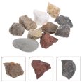 thumbnail image 4 of SHISUYAN 1 Set Rock And Mineral Collection Box Desktop Ornament Science Specimen Replacement For Classroom Teaching And Field Testing, 4 of 8