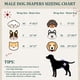 thumbnail image 3 of Pañales para perros VUNCESSIN, reutilizables, para hombres, bandas para ombligo lavables, talla M, 3 of 7