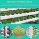 thumbnail image 5 of Paniers Hydroponiques Plastique Pot Plantation Hydroponique Rutilisable Panier Plante Aquatique Compatible avec Culture hydroponique aroponique, Plant, 5 of 5