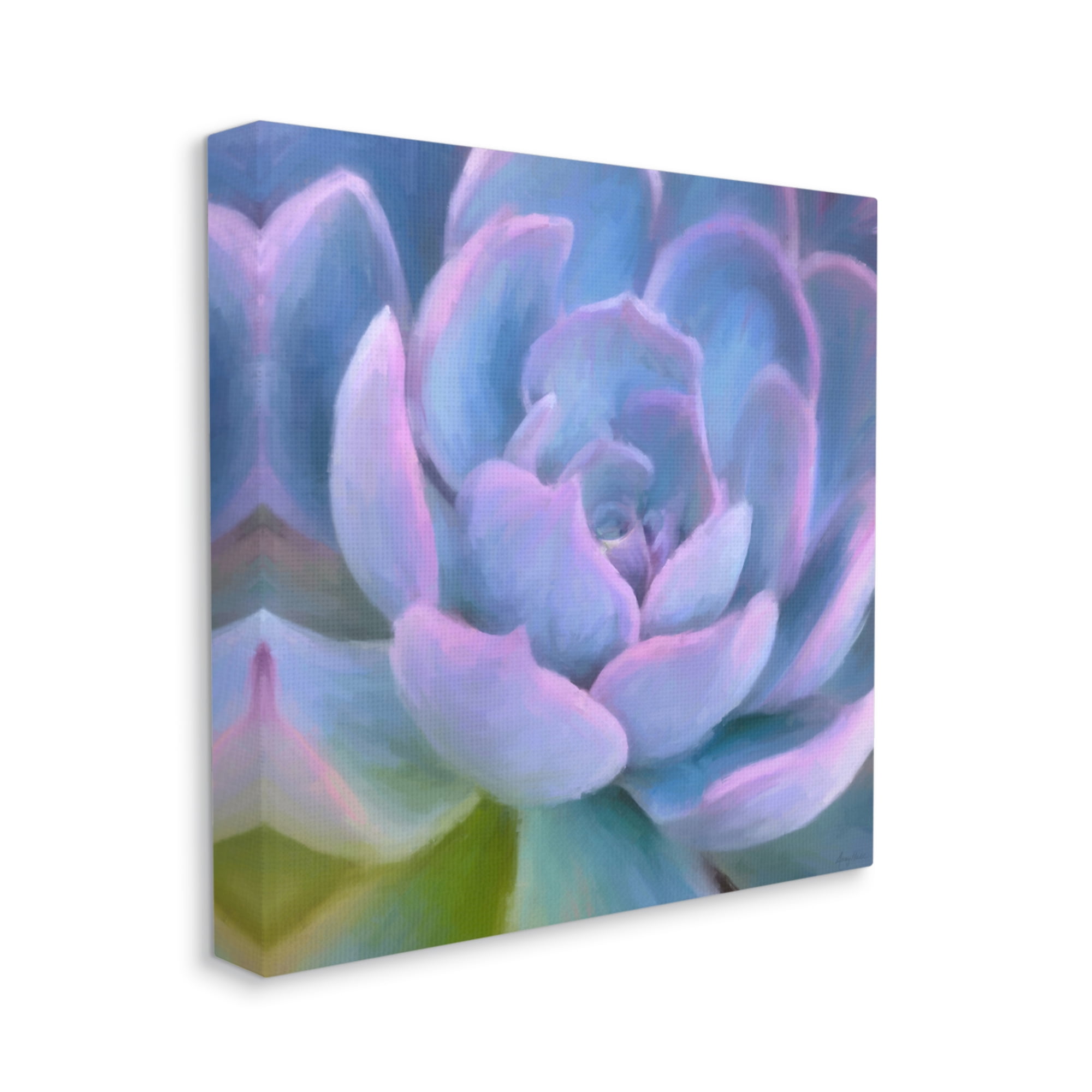 Stupell Industries Purple Modern Succulent Botanical & Floral Painting Gallery Wrapped Canvas Print Wall Art, 36 x 36