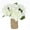 white, variant on XIsaidu 5pcs White Flowers Artificial Silk Hydrangea Flowers Bouquets Hydrangea Stems for Home Table Centerpieces Wedding Party Decoration (White)