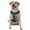 With Accessories, variant on Vsdgher Sunset Sunflower Dog Pattern Dog Harness,No Pull Pet Harness with Soft Padded Handle,Adjustable Reflective Vest with 2 Buckles,4 Slide Buckles,S-XL X-Large