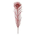 thumbnail image 1 of Plume de Paon Rouge de 12 Po avec Paillettes Rouges - Lot de 5, 1 of 1