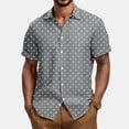 thumbnail image 2 of Lumtrix Mens Short Sleeve Button Down Shirts Wrinkle Free Dress Shirts Casual Polka Dot Print Shirt with Pocket Gray 2XL, 2 of 5