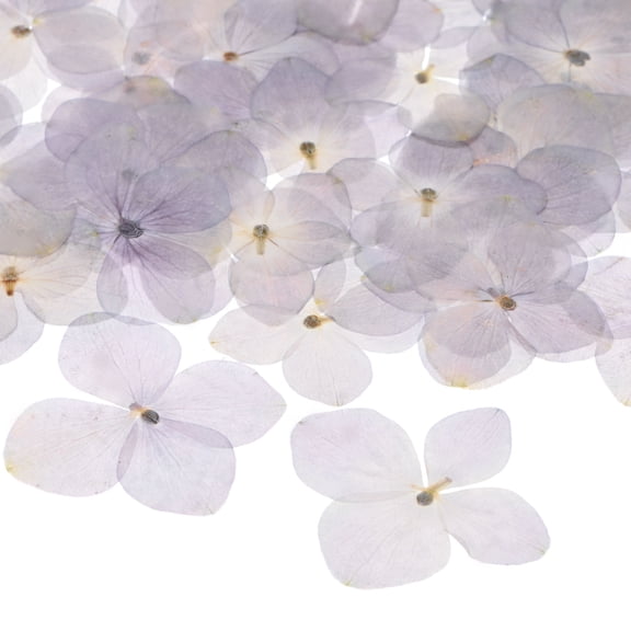 60-Pack Dried Pressed Flowers for Resin, Real Natural Bulk Dry Floral for Crafts/DIY Jewelry/Soap Making/Scrapbooking/Candle/Epoxy Resin Supplies [Purple White]