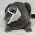 thumbnail image 3 of fastboy Transparent Cat Face Mask Cat Muzzle Anti Bite Anti Called Medium, 3 of 8