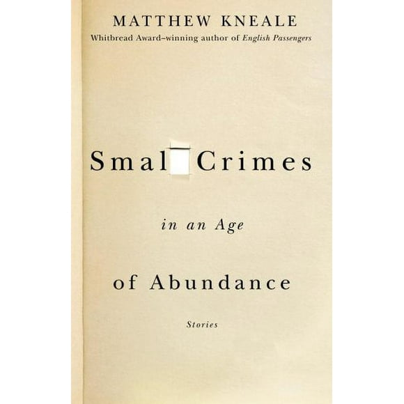 Small Crimes in an Age of Abundance 9781400079575 Used / Pre-owned