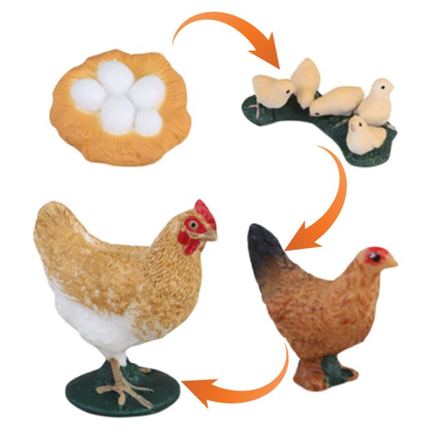 Con diseños de pollos y gansos que representan su ciclo de crecimiento. Diseñado de forma creativa y con personalidad, ideal como adorno anual o para el hogar.