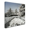 thumbnail image 3 of Trademark Fine Art "Lotus Bridge V" Canvas Art by Philippe Hugonnard, 3 of 4