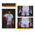 thumbnail image 3 of FLUORY Muay Thai Shorts Color Contrast Free Combat Mixed Martial Arts Boxing Training Match Pants Fashion Style, 3 of 7